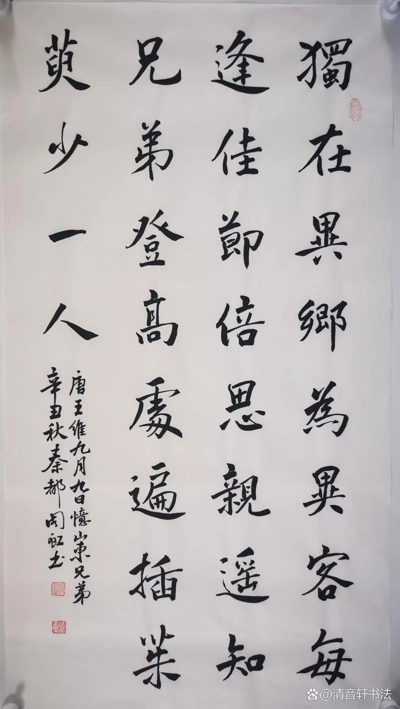 独在异乡为异客是谁写的诗_1