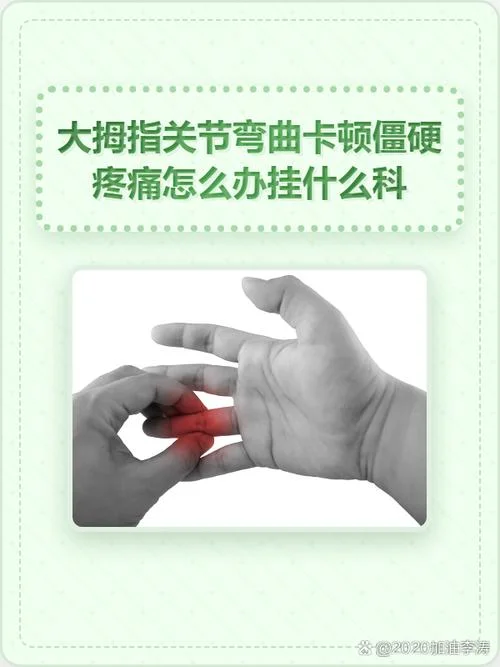 大拇指叫什么指_1