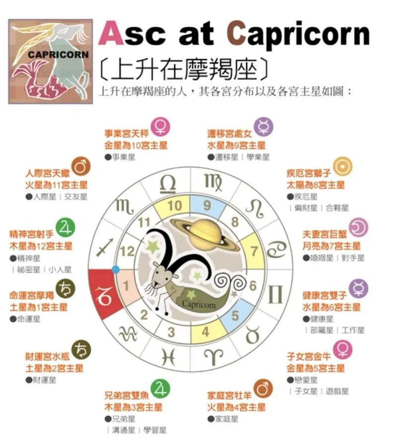 玛法达星座运势排名_1