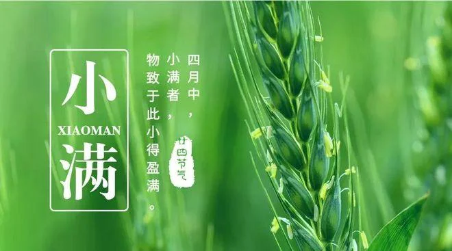 每年小满是几月几号_2