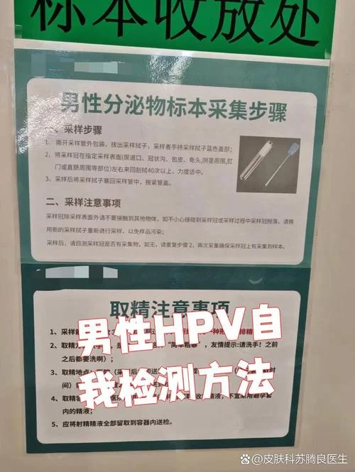 hpv检测方法及原理PPT_1