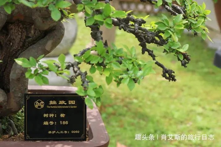 灌园一词的出处_1