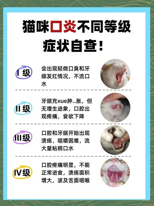 小猫生病了不吃怎么办-小猫不吃病