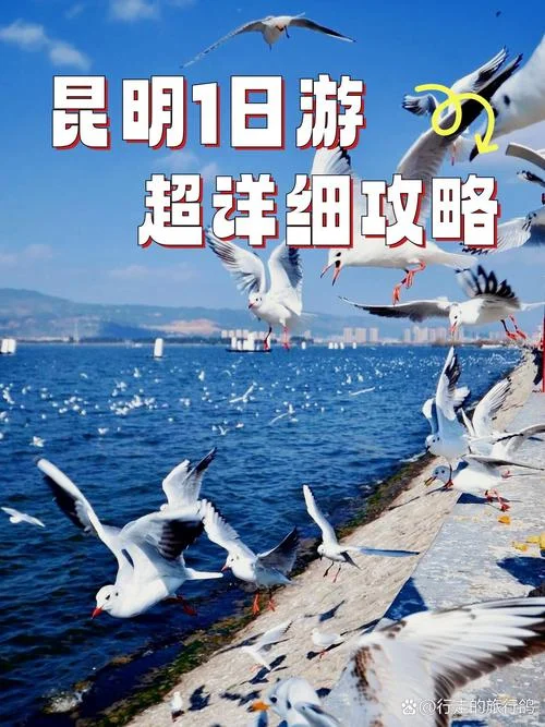 昆明滇池旅游攻略简讯-昆明滇池旅游攻略