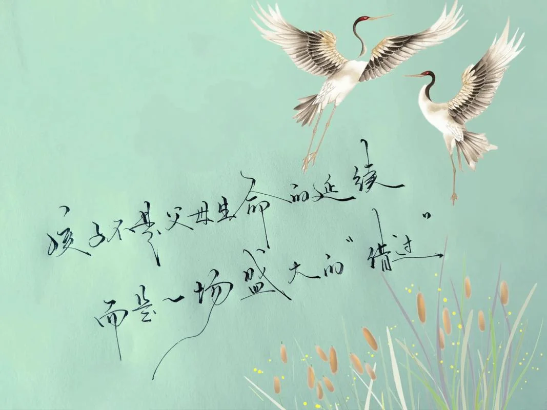 有孩子后的人生感悟_1