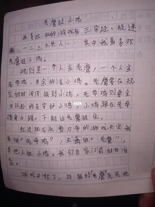 老鹰捉小鸡的感悟-老鹰捉小鸡感悟