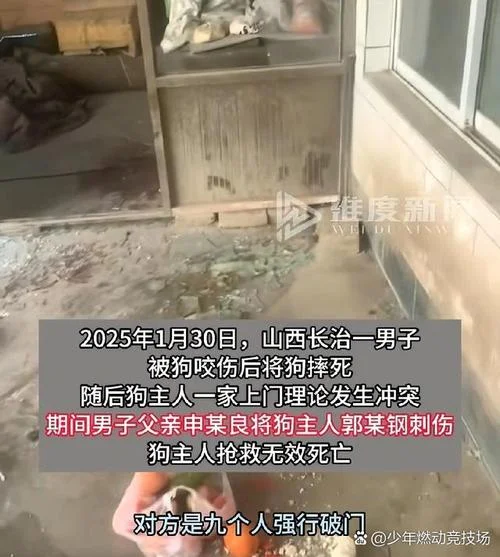 做梦让狗咬伤了腿_1