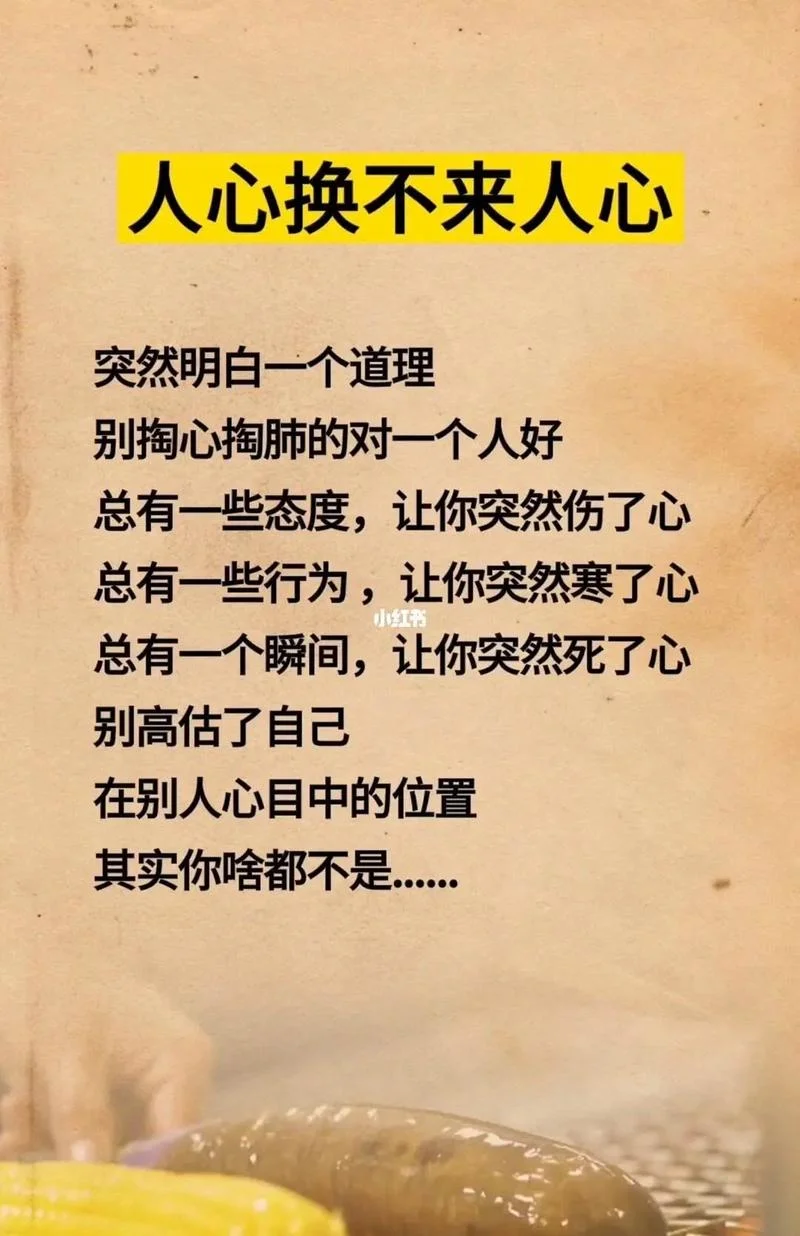 人心都是肉长的上一句_1