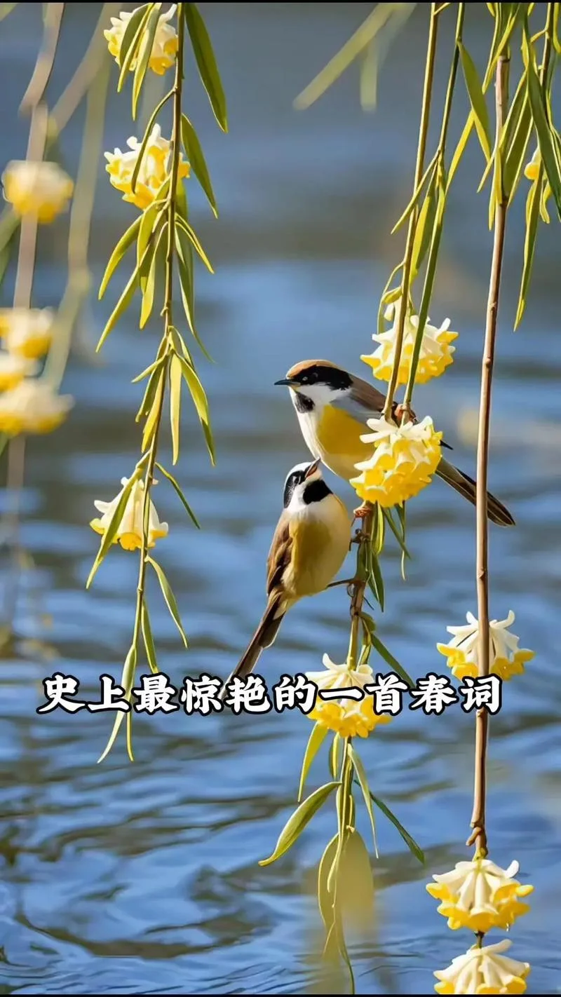 史上最全春图_1