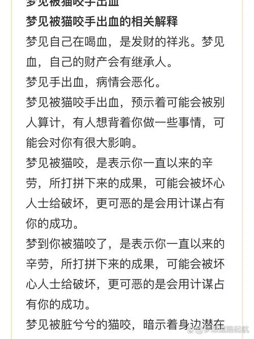 梦见被黑猫攻击是什么预兆-梦见黑猫攻击预兆