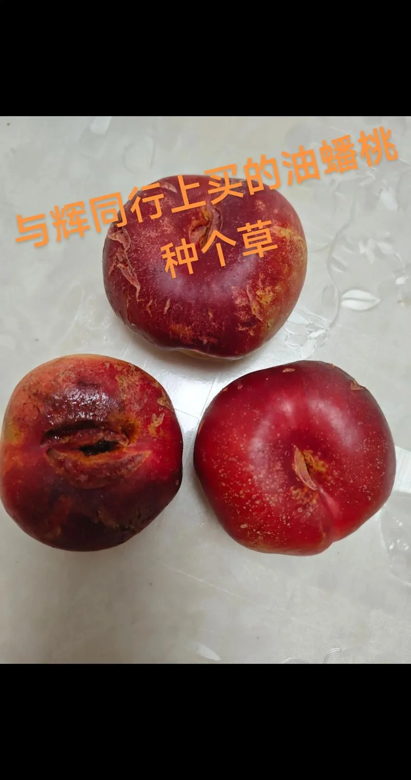 买了种草得东西叫什么_2