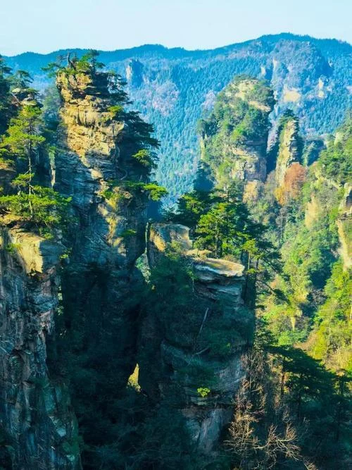 广州到张家界五日游_2