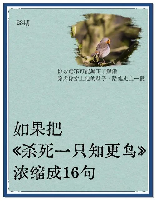 根鸟让我们懂得的道理_1