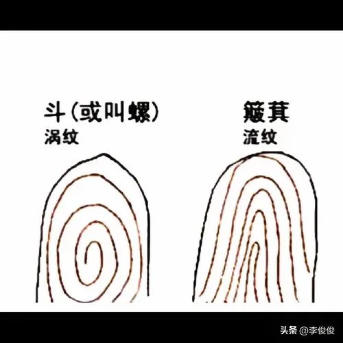 十个簸箕没有斗下一句_1