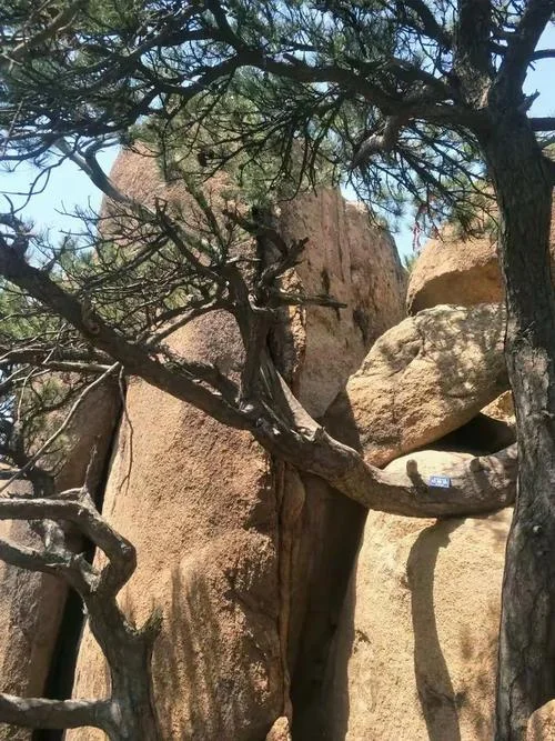 笑语千山隐出自哪里_1