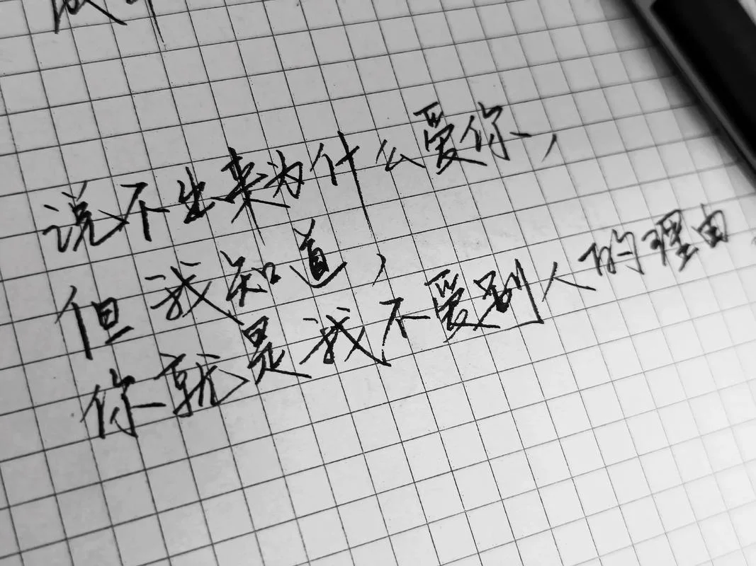 就爱你,没道理_1