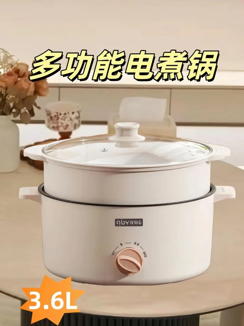 十大品牌电热锅_2