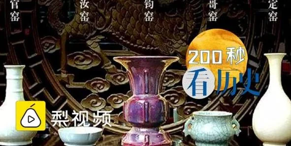 梨视频动历史-梨视频历史动
