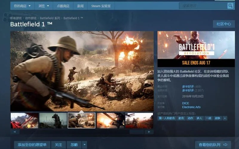 战地1steam叫什么名_1