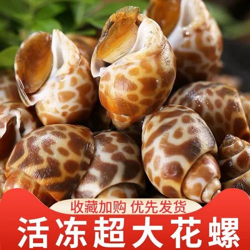 小花螺现在叫什么平台_2