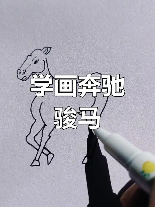 骏马简笔画怎么画教程_1
