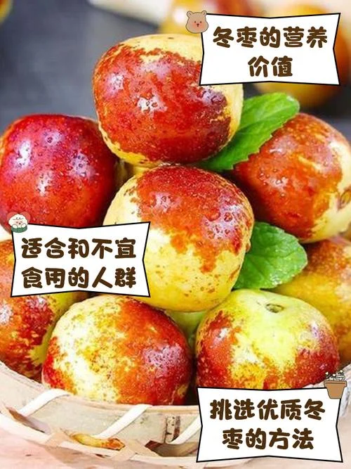 冬枣几月份成熟可以吃-冬枣几月成熟可食