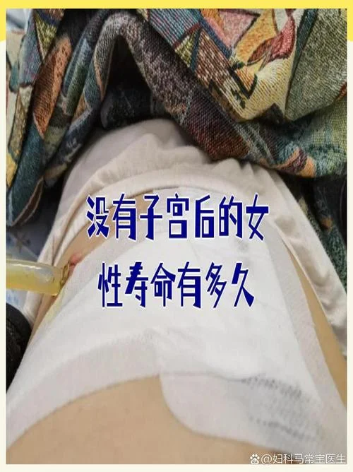 无子宫叫什么_1