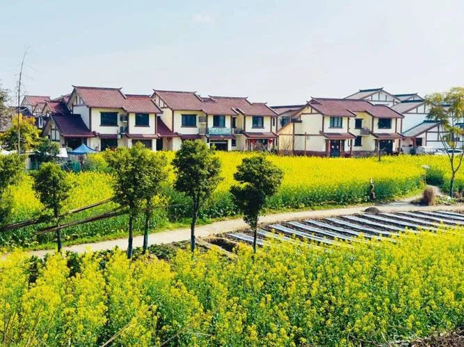 社区在农村叫什么_1