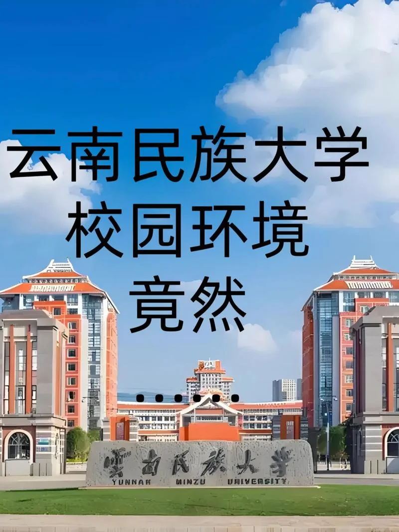 1云南民族大学统一身份认证平台-云南民大统一身份认证平台