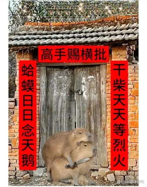 史上最牛搞笑对联_1