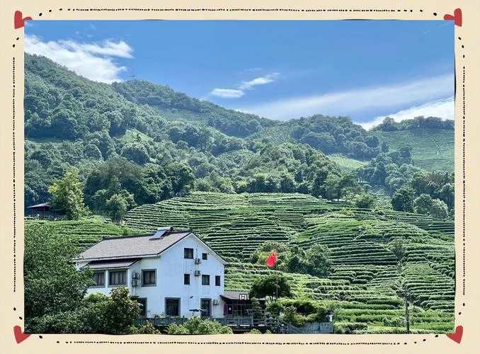 杭州龙井景点-杭州龙井景区