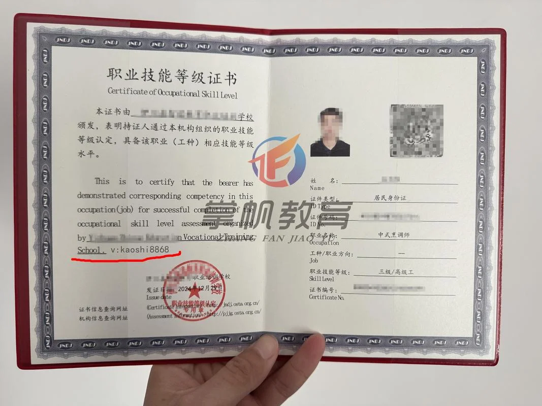 技能证书怎么查询_2