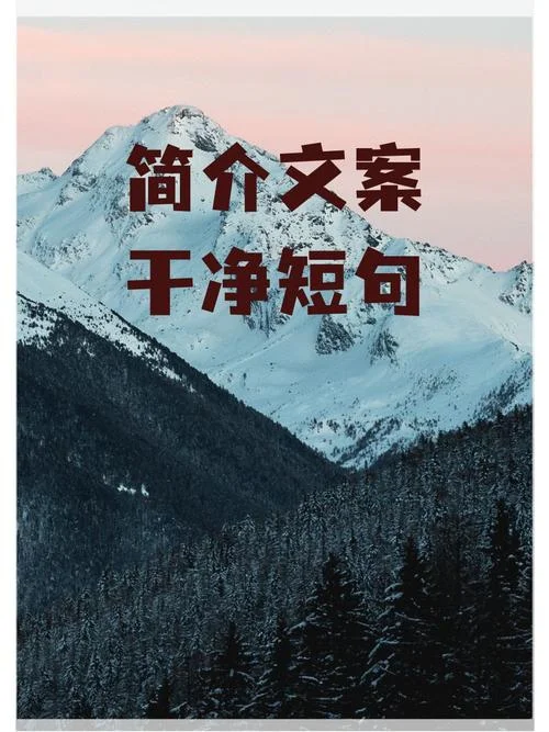 宣传文案简短_1