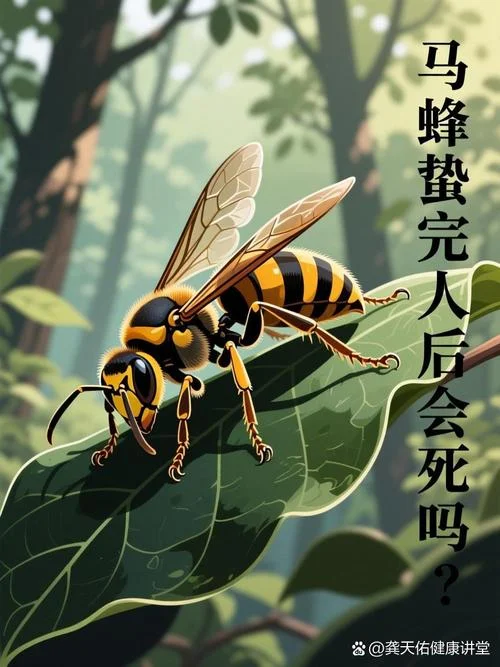 梦见马蜂蛰自己的脸_1