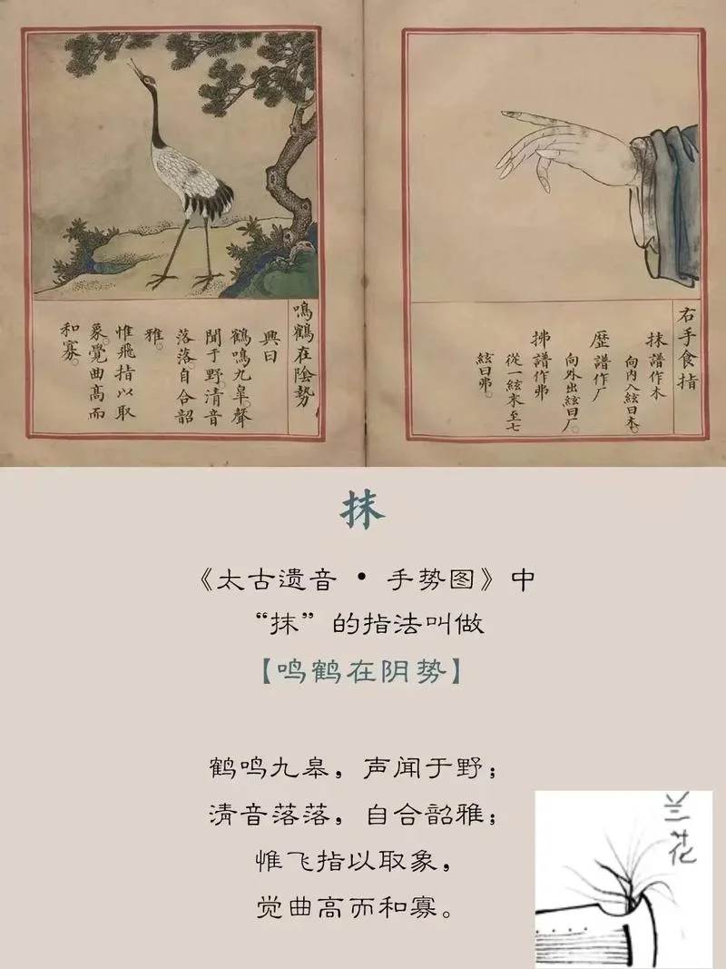 古琴怎么学视频教程_2