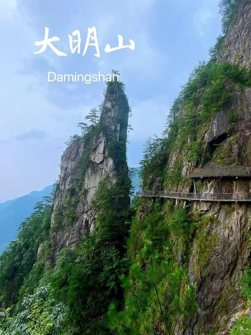 临安网红景点免费_1