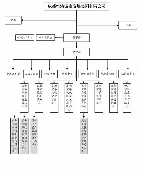 公司集团化要求_1