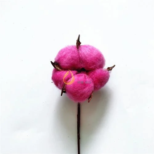 彩色棉花说明文-彩色棉花说明文