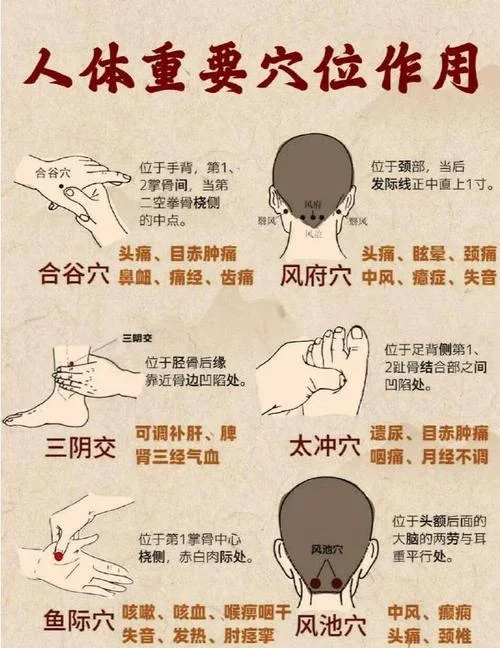 正规按摩去哪里学_1
