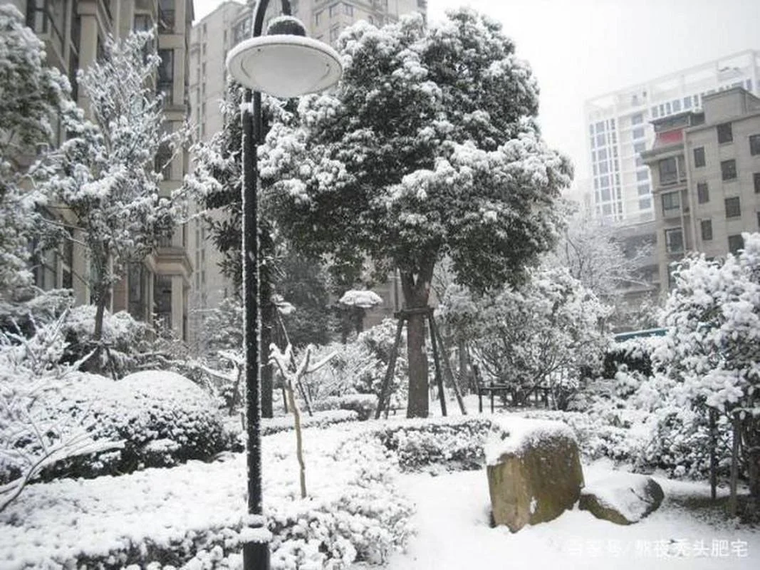 梦见下雪天了-梦见下雪天