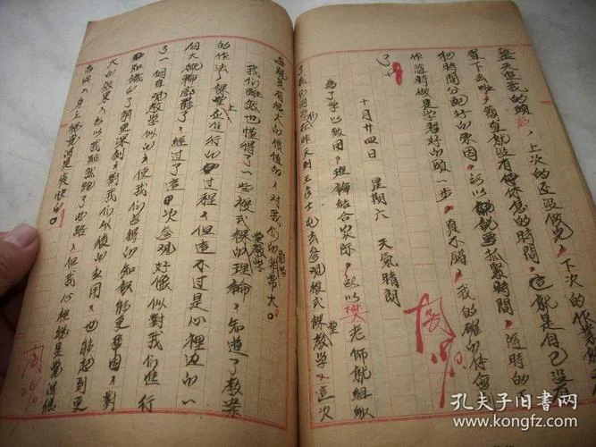 演草作文怎么写_1