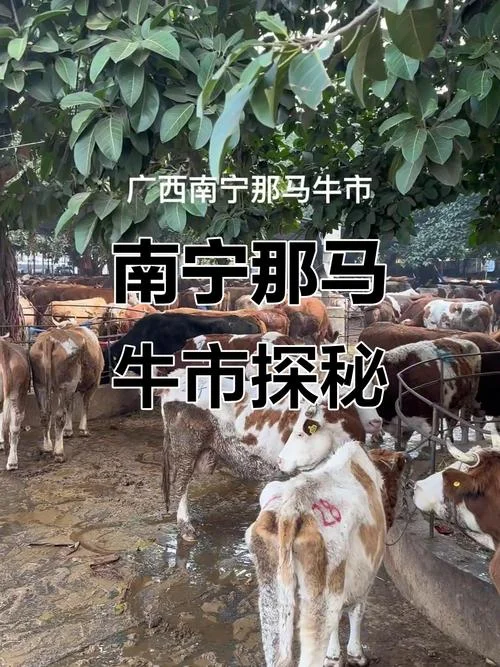 广西有什么养殖公司_2