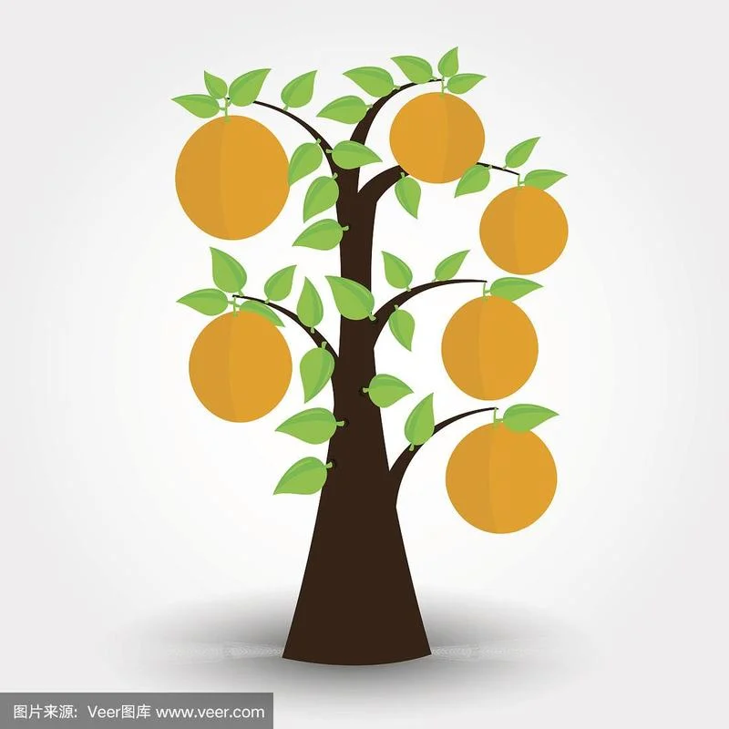 橙子树简笔画图片大全_1