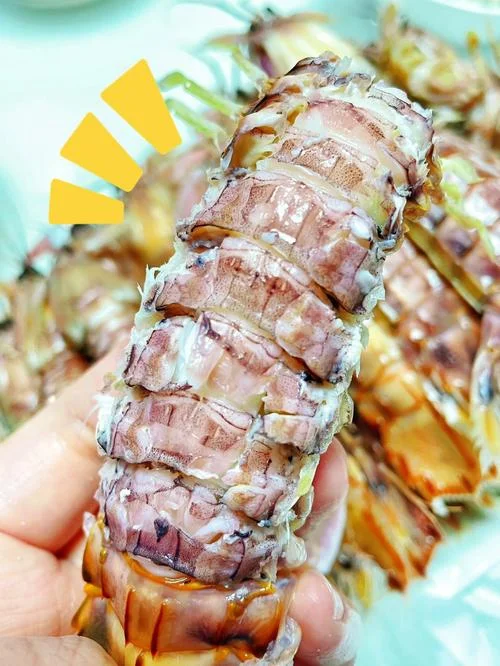 几月份皮皮虾最肥_2