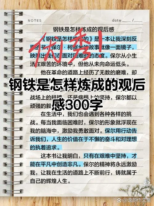 钢铁是怎样炼成的第三章读后感200字_1