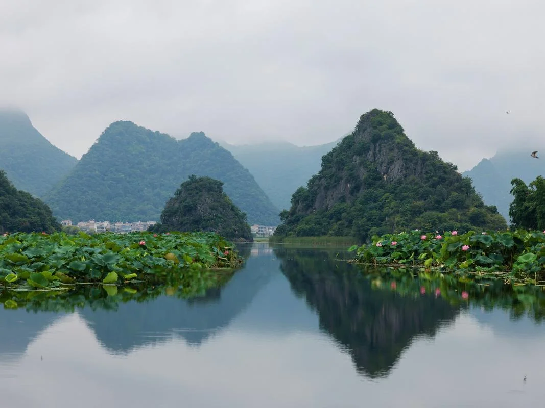 普者黑旅游景点有哪些-普者黑热门景点