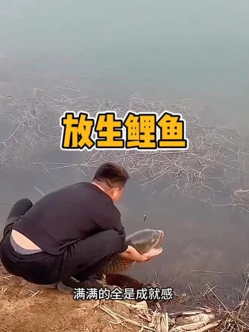 梦见捞了很多鱼又放了_2