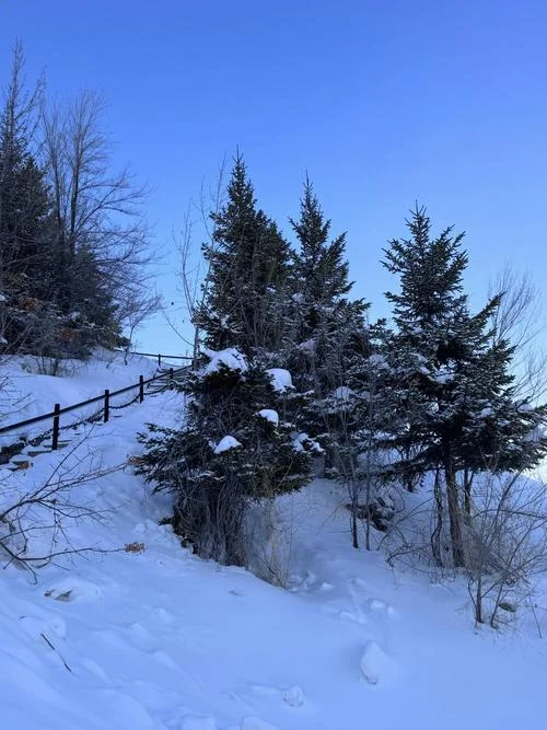 丽江雪山一日游_1