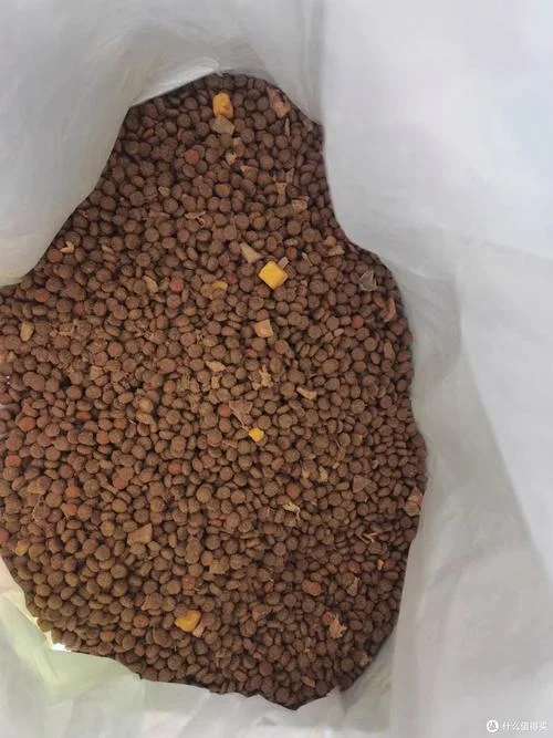 什么是通用狗粮_2