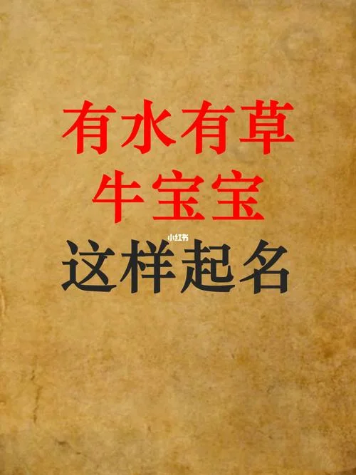 给牛宝宝起名字小名_2